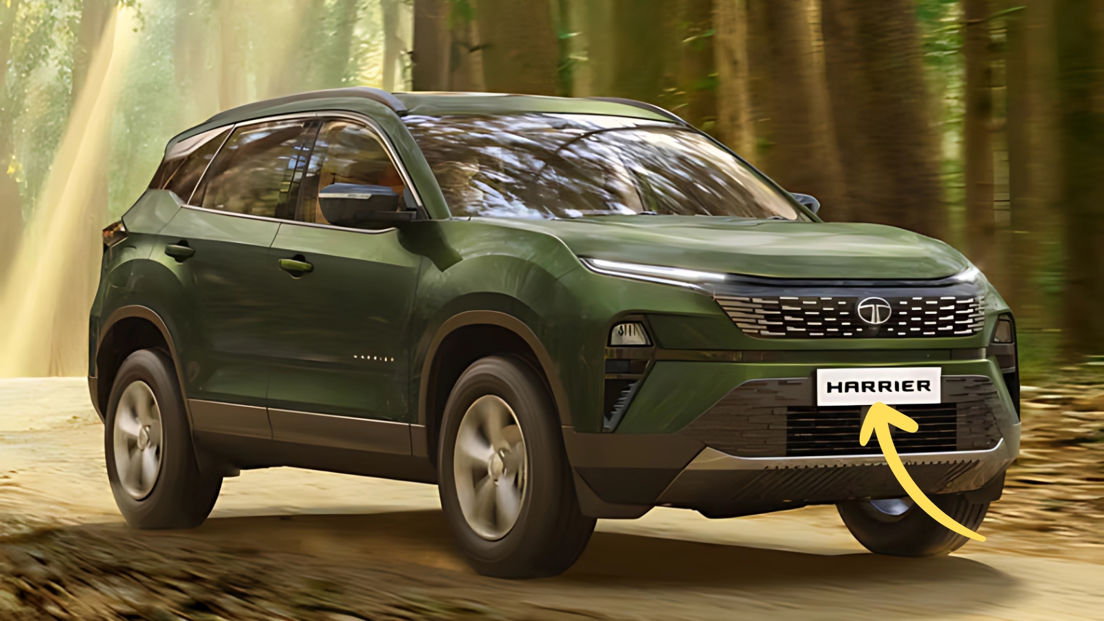 Harrier Safari Adventure X